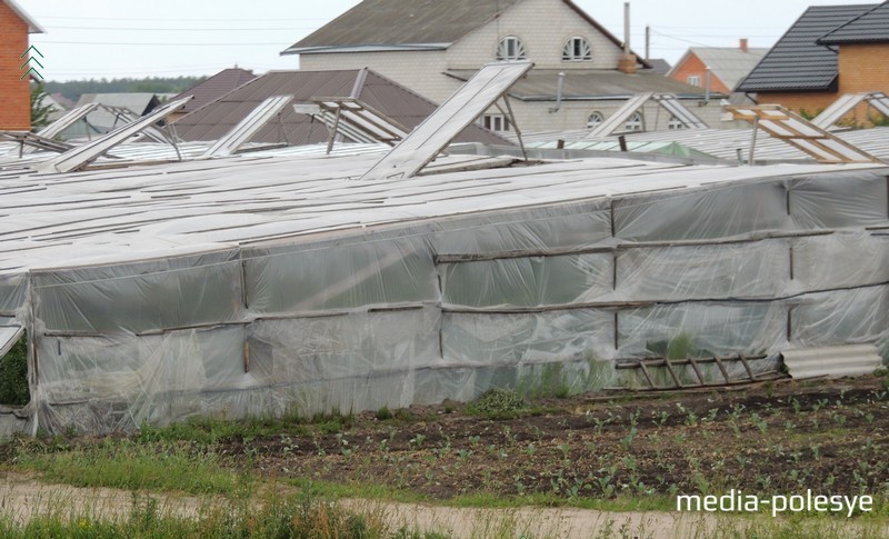 Сельчане выращивают сельхозпродукцию. Фото из архива Медиа-Полесья