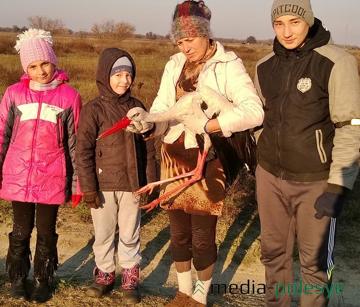 Зоя Ивановна Тонзель с аистом и внуками Ариной Волонцевич, Романом Ковальским, Кириллом Волонцевичем в день, когда поймали аиста. Фото предоставила Марина Волонцевич