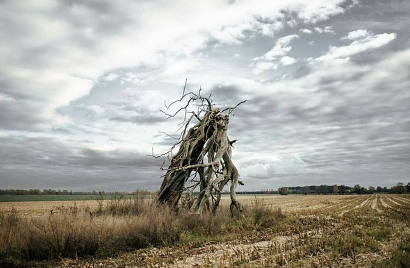 #Беларусь #Полесье #Лунинец #Belarus #mediapolesye #białoruś #медиаполесье #nature #belarus #vandruem #mystery #pinsk #stolin #luninets #goodday