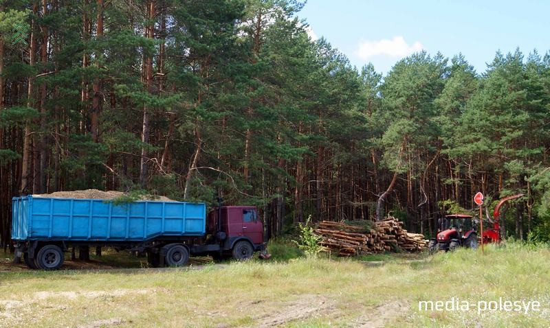 Похоже, что в пинском лесопарке порубочные остатки не сжигают, а перерабатывают на щепу