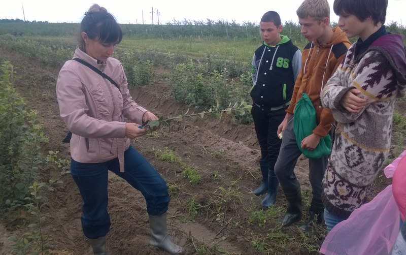 В саду СПК «Бережное»