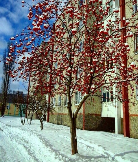 #Belarus #Pinsk #December #białoruś #weather #wintertime #winter #sky #snow #snowing #good #nature #cold #ice #stolin #luninets #mediapolesye #медиаполесье