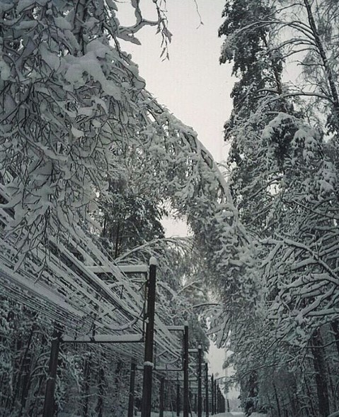 #winter #december #hellodecember #schnee #snow #зима #декабрь #goodmorning #nature #frosty #frost #ice #snowing #wintertime #pinsk #stolin #luninets #daytime #mediapolesye #медиаполесье