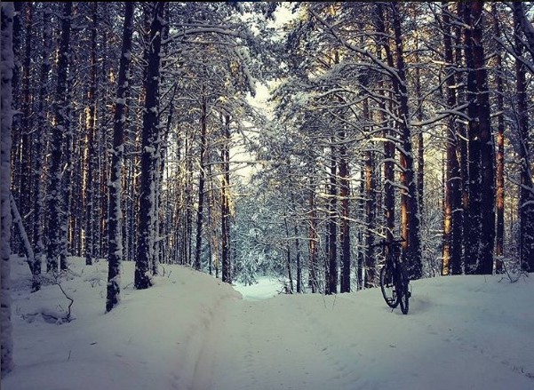 #медиаполесье #bike #forest #winter #snow #frozen #belarus #pinsk #luninets #minsk #brest #palesse #mativation