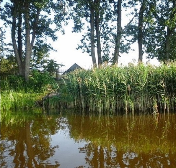 #velemichi #belarus #naturephoto #lake #water #luninets #pinsk #stolin #беларусь #природа #сонейка #палессе