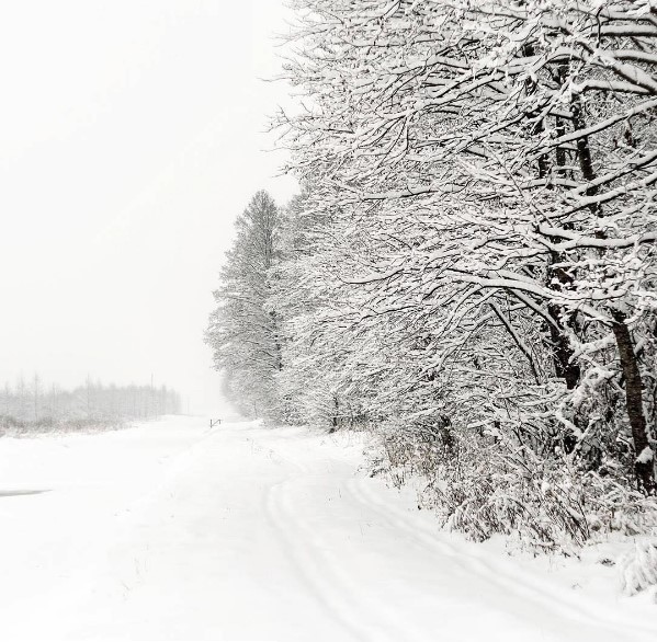 #mediapolesye #медиаполесье #belarus #belinsta #winter #беларусь #зима #фотограф #снег