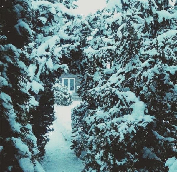 mediapolesye #медиаполесье #nature #natgeo #winterlook #wintertime #snowing #tree #belarus #palesse