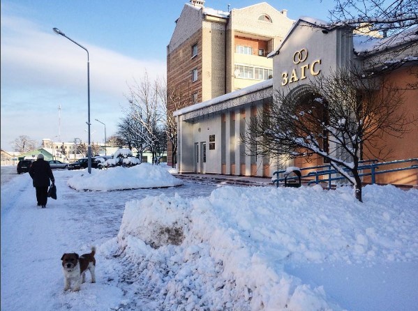 нядзеля #медиаполесье #mediapolesye #luninets #belarus #winter #wintertime #dog