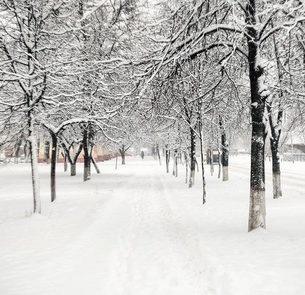 belarus #winter #wintertime #morning #snow #snowfall #snowstorm #light