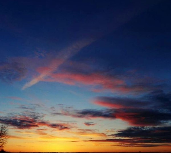 #mediapolesye #медиаполесье  #природа #беларусь #палессе #belarus #colors #orange #naturelover