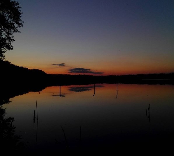 #озеро #вода #лето #природа #небо #закат #беларусь #lake #water #summer #nature