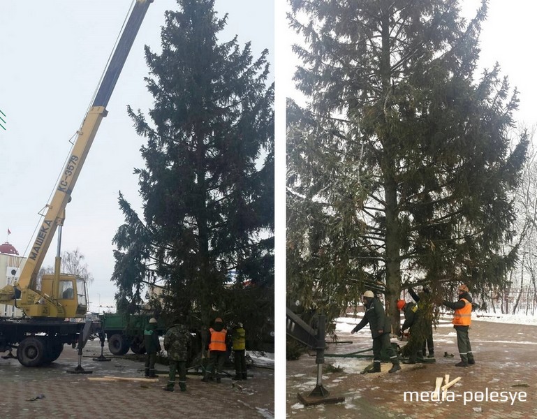 Ель из Хорска надевает праздничный наряд. Фото предоставил Г.Пешко