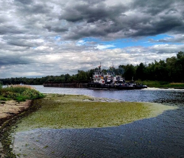 #pinsk #belarus #river #mediapolesye #пинск #палессе