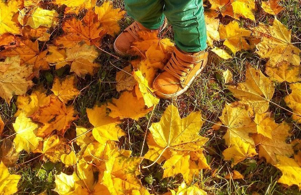 #осень #листья #дети #autumninthecity #autumn #leaves #children #mediapolesye