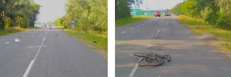 Фото gaibrest.by