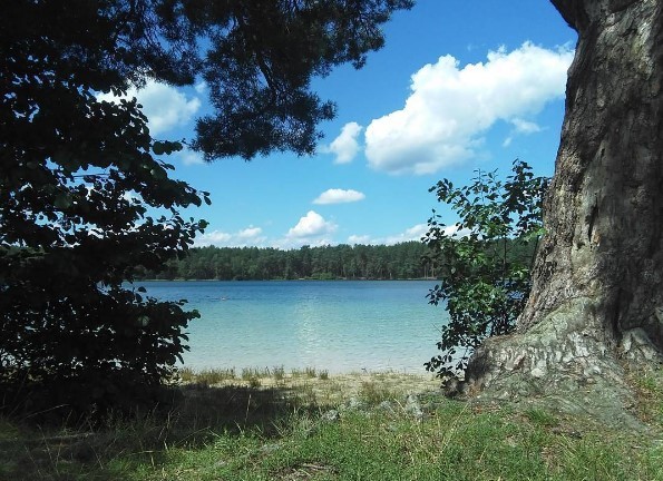 #озеро #лето #вода #природа #lake #summer #water #nature #mediapolesye