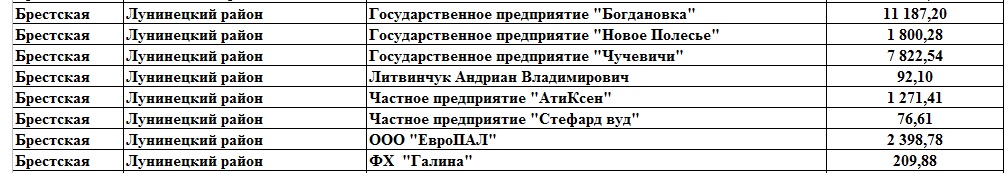 Должники в ФСЗН по Лунинецкому району, по состоянию на 1.10.2017