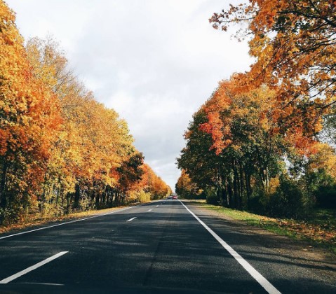 #осень #дорога #солнечныйдень #листья #природа #поездка #autumn #autumnleaves