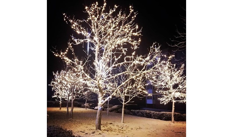 #winter #evening #christmastree #lightning #garland #beautiful #decorations #holidays