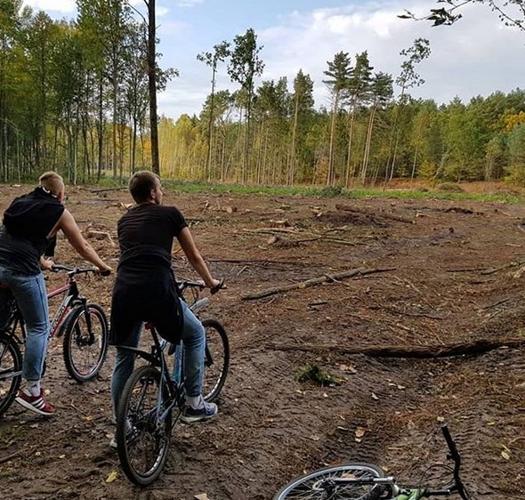 Когда в руках власть, а жадность без контроля. Природа становится средством достижения. Делитесь своими мыслями в комментариях