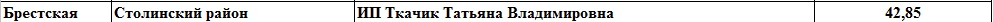 Должники в ФСЗН по Столинскому району, по состоянию на 1.10.2017