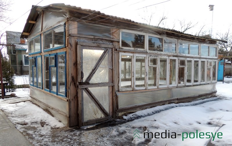 До наступления сильных морозов аист жил в этой теплице