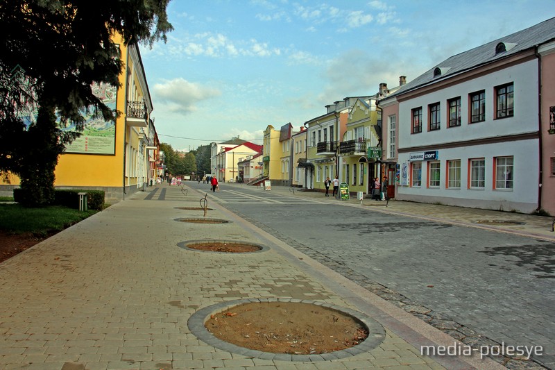 Места, подготовленные для высадки новых деревьев