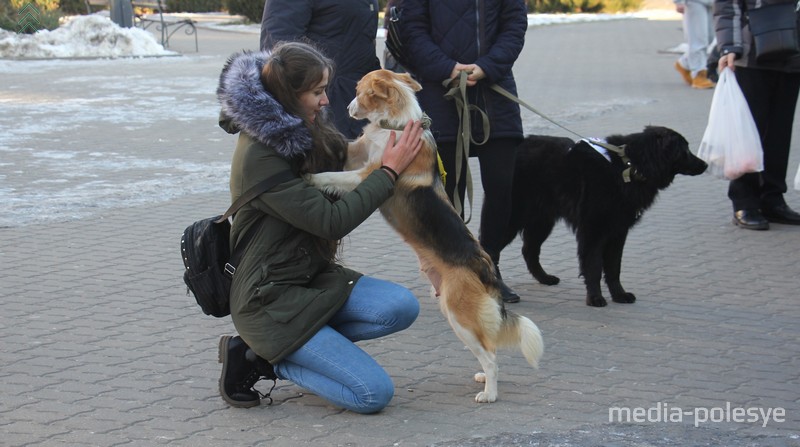 Бездомыши всегда добродушные 