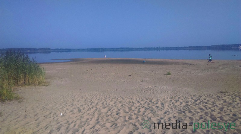 Озеро Погост. Прежде камыши стояли в воде. Фото Вадима Дивакова из сети ВК