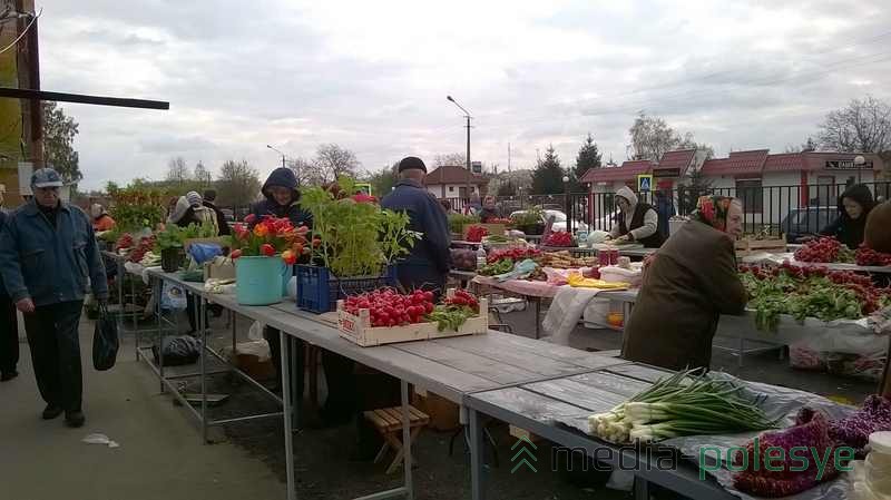 Редиска, лучок, цветы, рассада