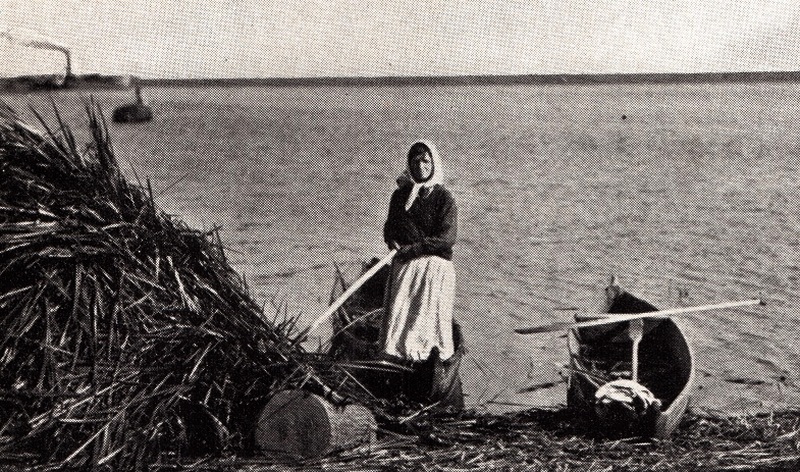 Пінкавічы. Нарыхтоўшчыца чароту, 1934 год, фота Луізы Бойд