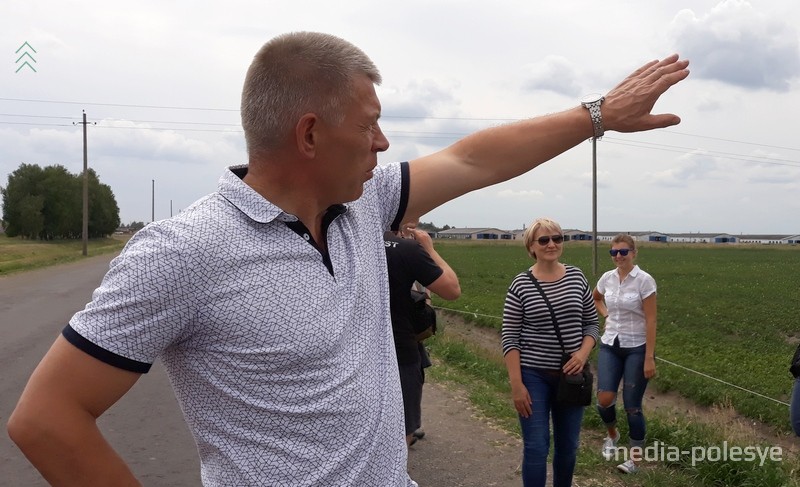 В июне заморозки коснулись всходов картофеля