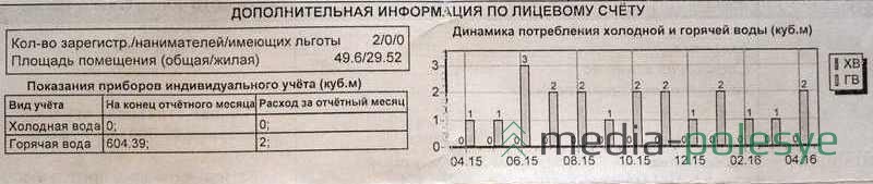 Не очень полезная информация в новой жировке. Хотя по графику можно наглядно отследить скачки потребления горячей воды