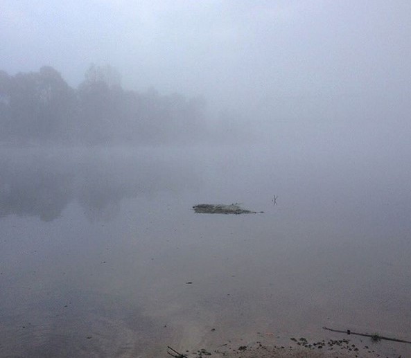  @roman_skiba #nature #pripyat #belarus #luninets #water #nice