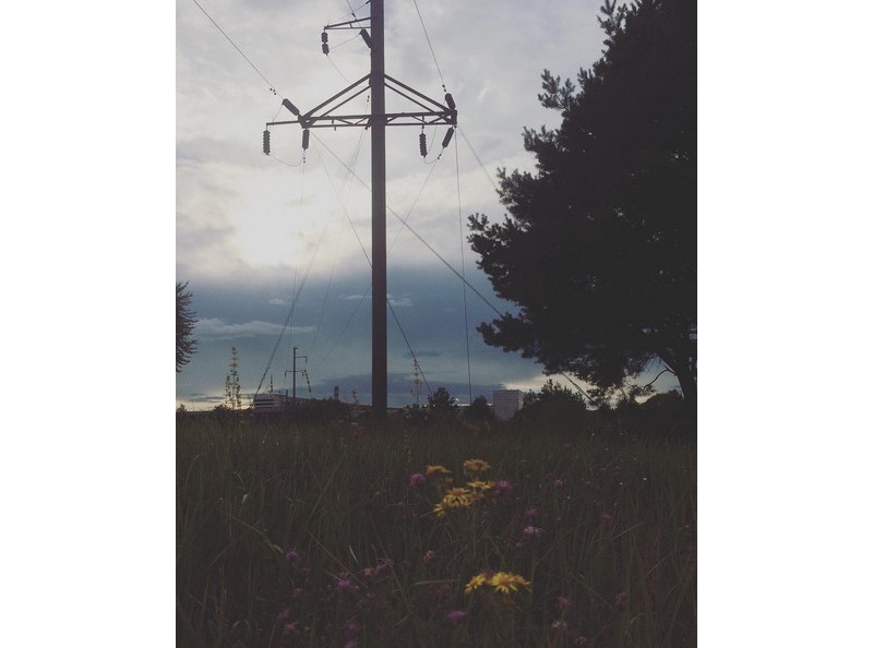 #лунiнец #беларусь #палессе #belarus #industrial #tree #tesla #mediapolesye #медиаполесье #лунинец