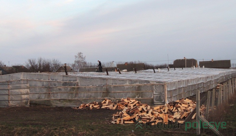 Каб хутчэй атрымаць ураджай, у цяпліцах трэба добра тапіць