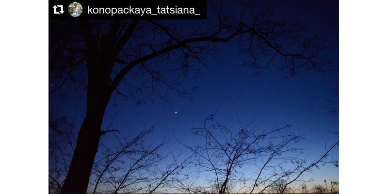 #небо, #звезды, #деревья, #природа, #красота, #вечер, #evening, #tree, #stars, #nature, #photo, #beautybesideyou, #nice, #моифото, #люблюфотографировать