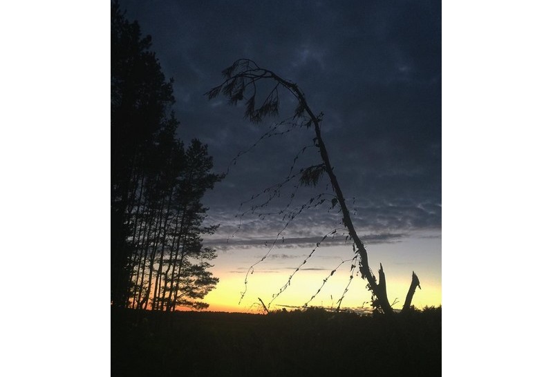 #nature #belarus #palesse #mediapolesye #sun #sunset #forest #sky #orange #black #night #nice #медиаполесье #ilovemyjob