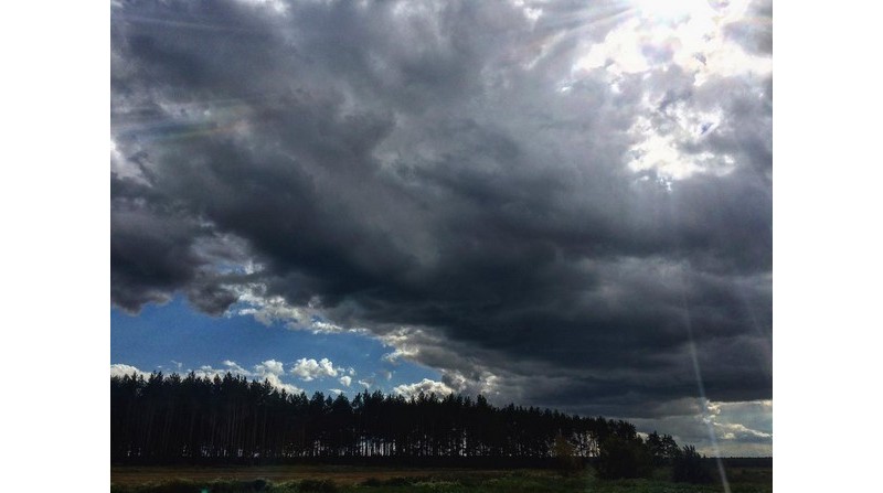 #лунiнец #беларусь #лунинец #luninets #belarus #sky #forest #palesse #mediapolesye #медиаполесье