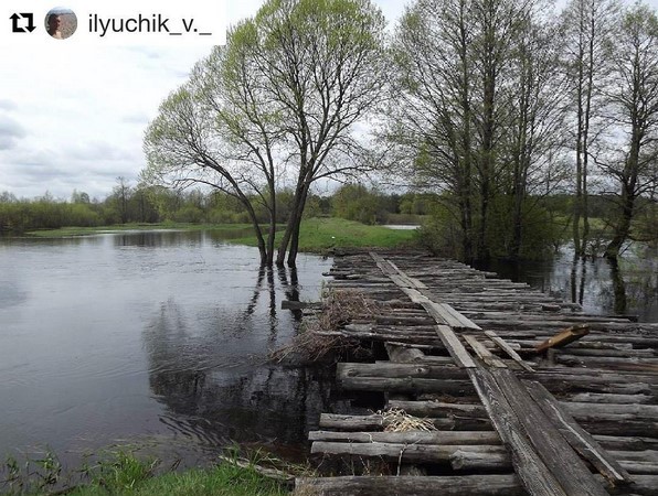 #природа #палессе #беларусь #nature #bridge 