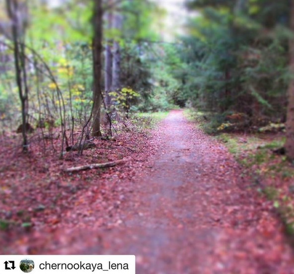 #horizon #beautyofnature #осень #мысли #люблюосень #беларусь