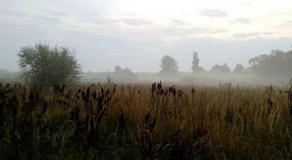 #brest #pinsk #belarus #morning #nature #october #autumn #palesse #field #swamp #natgeo