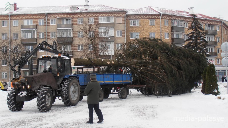 Ель привезли на площадь Ленина