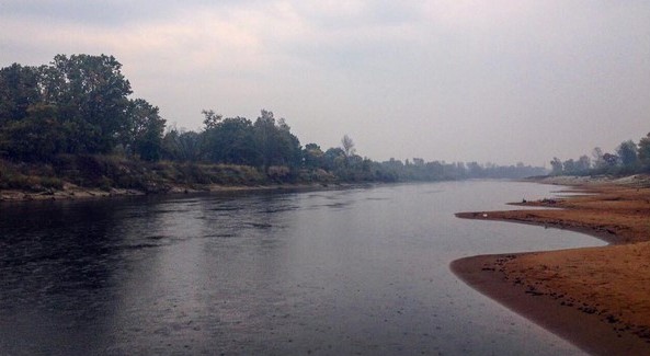 #припять #беларусь #belarus #river #pripiat #fishing #water #luninets #palesse #nature #mediapolesye #медиаполесье