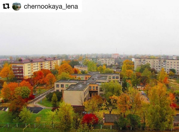 Осень прекрасна в любую погоду #coloursofnature #naturelovers #nature #buildings #magic 