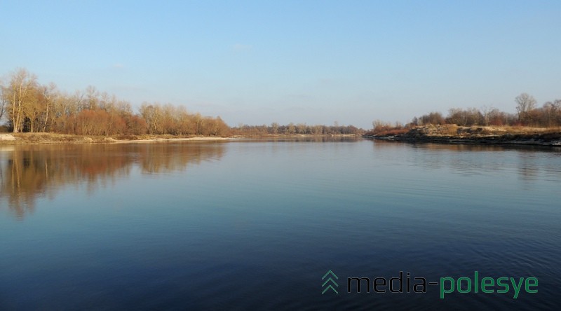 Припять вблизи паромной переправы. Ноябрь, 2015