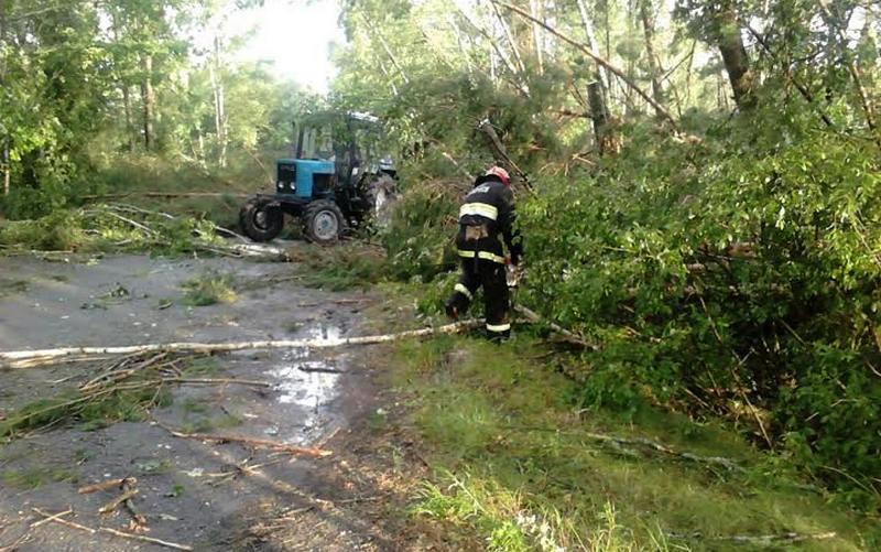 Дорога возле Чучевичей. Фото Лунинецкого РОЧС   