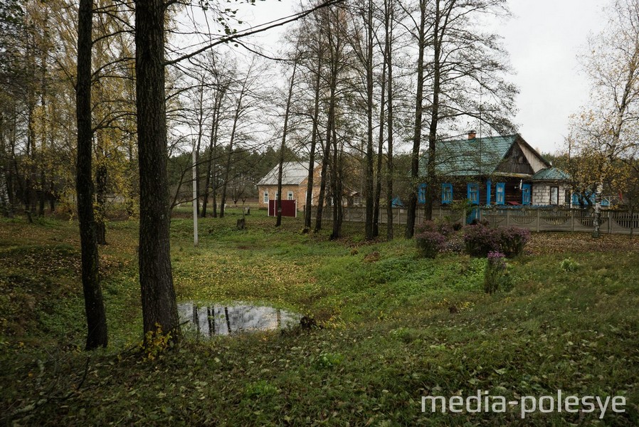 Дима не спускался к ямке у дома, не особо любил играть у воды