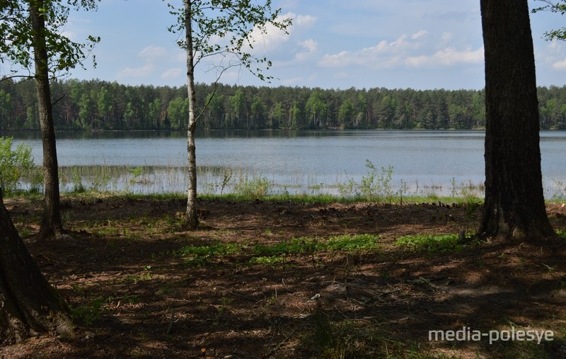 Раньше вид на озеро «загромождали» кустарники и деревья