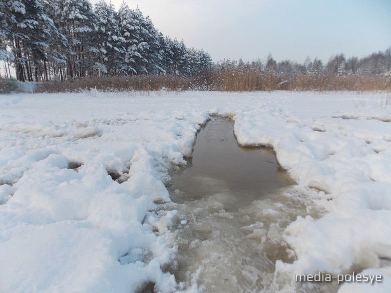 Вода выходит из полыньи и топит берег